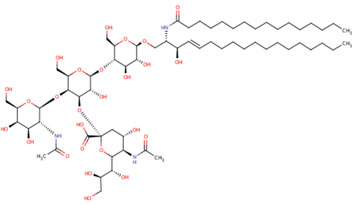 Ganglioside2
