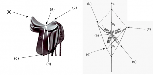 Saddle and Gaussian curvature in lipids