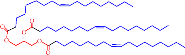 Triglyceride